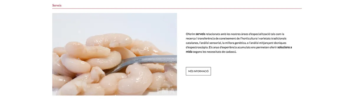 pantalla inicio escritorio